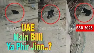 SSD 3025 | Mujhay Raasta Chahiyay Aur Us Ne Raasta De Diya..|