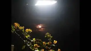 Big moon captured on camera
