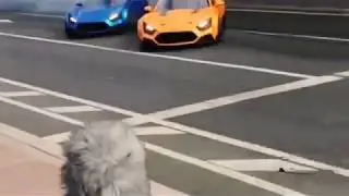 Skill mengemudi tingkat Dewa