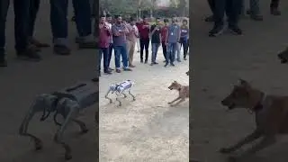 We are all pets #system #networking #server #computer