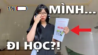 MÌNH ĐÃ LẤY HẾT CAN ĐẢM ĐỂ ĐĂNG KÍ HỌC BẰNG LÁI XE Ô TÔ HẠNG B2… ( học phí 17 tr… omg 😨)