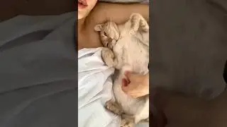 На спине на кровати)