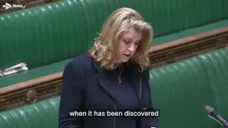 Penny Mordaunt compares Scottish Government funded art installation to 'hardcore porn movie' 