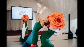 Розы