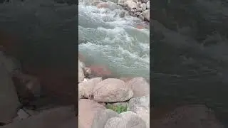 чодак сой