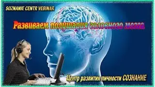 Развиваем полушария головного мозга