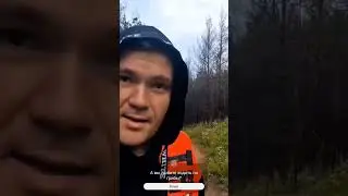Идем по грибы, не боимся кабанов!)