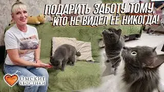 Подарить заботу тому, кто не видел её никогда! | Маркиз (Бонд)