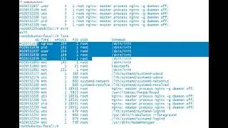 Docker Commands