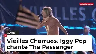 Vieilles Charrues. Iggy Pop chante The Passenger