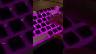 The BEST Plastic Button ASMR