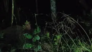 Sura blendong hilang Di temukan Di taman bunga banyak wanita