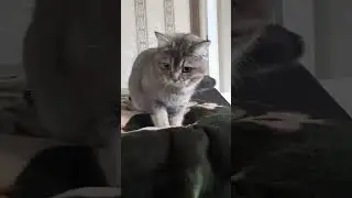 Что она делает?