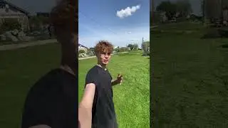 Новоселье в яслях на ферме 🐣
