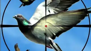 Hunting video | hunting season 22-23 | hunting zone 786
