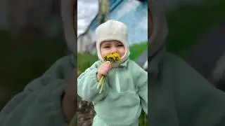 Рискнем? 
