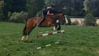 Lila jumping bareback course