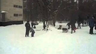 DSCF4398