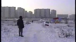 Змеи Ульянина зимой