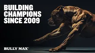The Science Behind Bully Max High-Protein Food | 50,000 Five-Star Reviews!