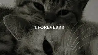 Убийственно думать о ком-то | 4.Foreverrr (slowed) + текст `