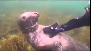 Чухай чухай меня не останавливайся )))