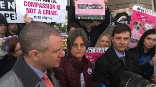 Animal rights activist on trial for giving water to a pig | 