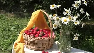 "На пленэре" Александр Филиппов