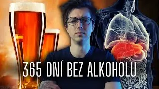 Co se děje s tělem, když přestanete pít alkohol