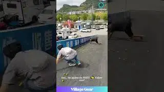 Dude vs. Rogue JUJUBES! 😂 That Body Block Was GENIUS! 