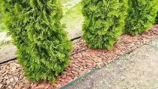 Decorative bark coating! The functionality and beauty of #hobby