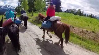Конный поход на Алтай. Команда Ураган