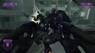 Halo GRappy