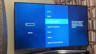 Amazon Firestick Developer Option