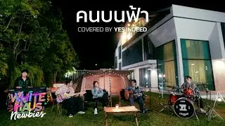 คนบนฟ้า | Covered by Yes Indeed [White Haus Newbies]