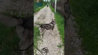 На старт. Марш! ( не марш😜).