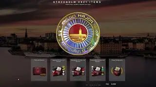CSGO : Stockholm Major Viewer Pass with Coin