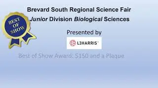 2021 Brevard South Science Fair Special Awards