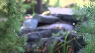 НВП-Наша Верхняя Пышма