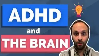 ADHD and the Brain: How You Can Help