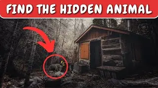 Can you find the hidden animal? Optical illusions