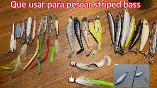 ESTO ES LO QUE USO PARA PESCAR STRIPED BASS.. TU QUE USAS?