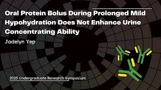 Oral Protein Bolus During Prolonged Mild Hypohydration Does Not Enhance Urine Concentrating Ability