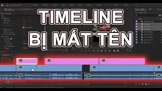 Timeline Premiere bị mất tên l Mẹo Premiere