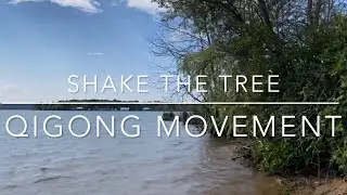 Quick Qigong
