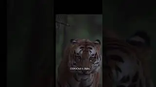 28 июня 2024 г.