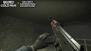 Left 4 Dead 2 AK-47 Black Ops Cold War BOCW using MW2019 Modern Warfare 2019 Anim AKM Gameplay