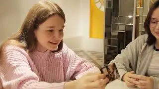 Настольная игра "Мемы" | Гора новостей
