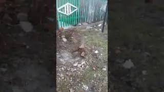 Петарда VS Кирпич