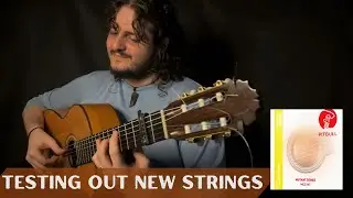 Luciano - Testing New Strings! (Granaína | Soleá | Seguiriya)